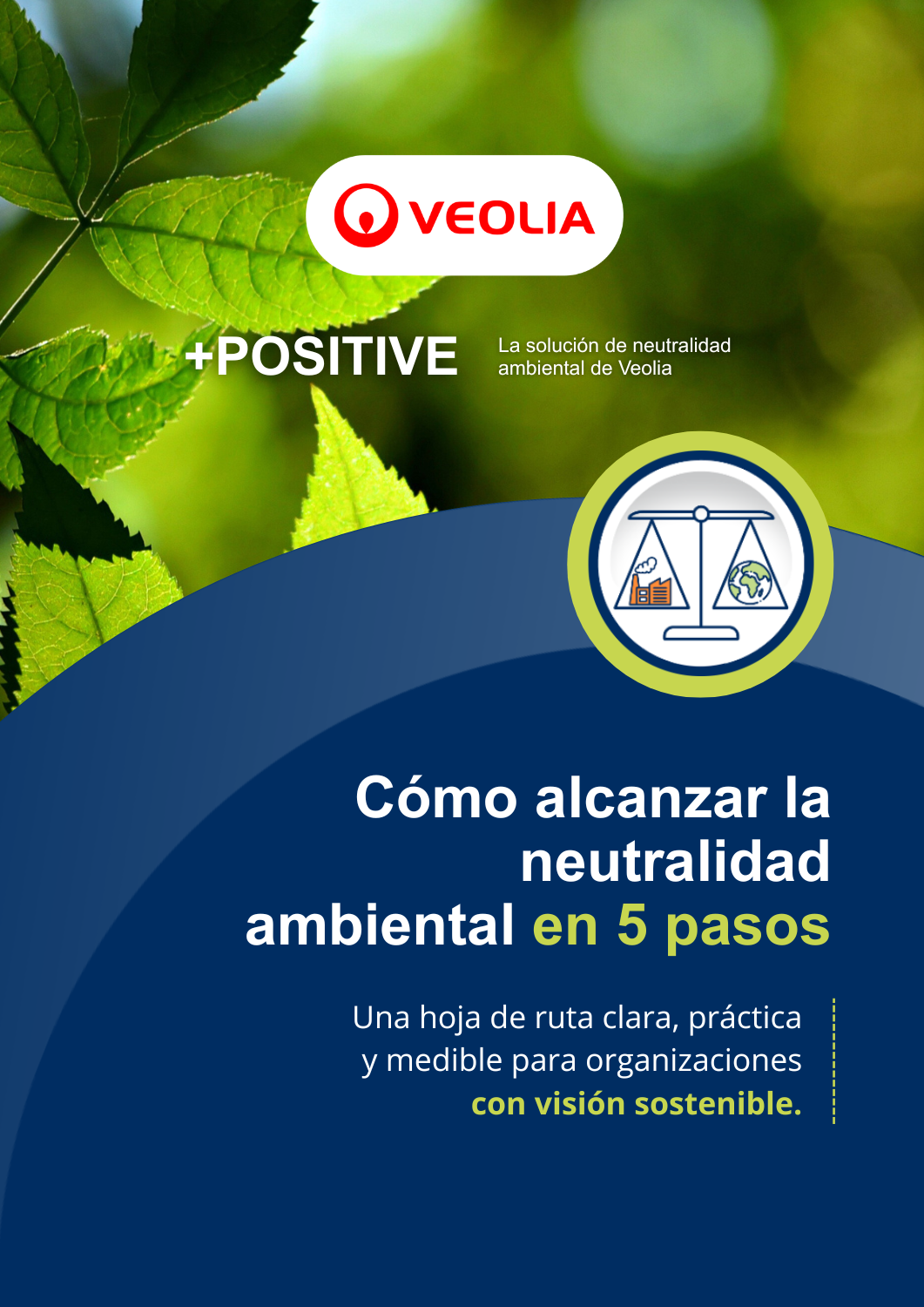 Cómo alcanzar la neutralidad ambiental en 5 pasos